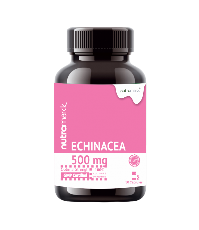 Echinacea.1