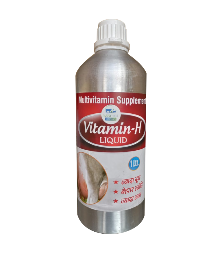 Vitamin-H.1